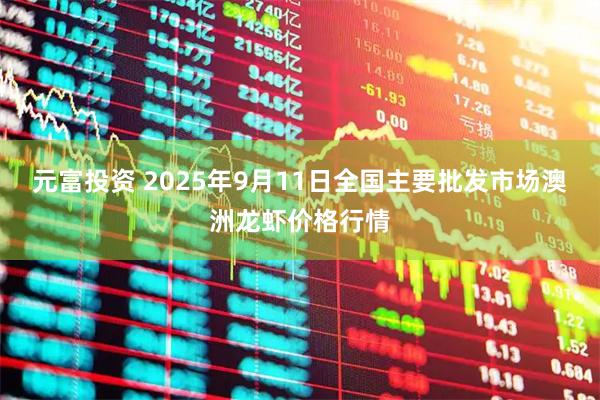 元富投资 2025年9月11日全国主要批发市场澳洲龙虾价格行情