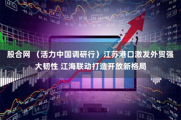 股合网 （活力中国调研行）江苏港口激发外贸强大韧性 江海联动打造开放新格局