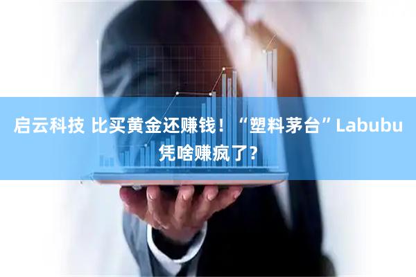 启云科技 比买黄金还赚钱！“塑料茅台”Labubu凭啥赚疯了？
