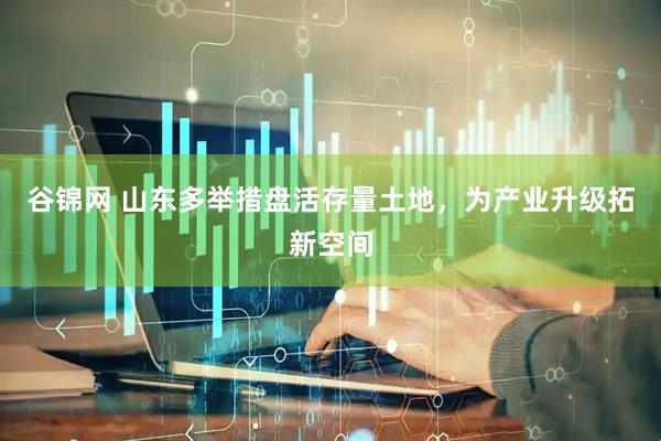 谷锦网 山东多举措盘活存量土地，为产业升级拓新空间