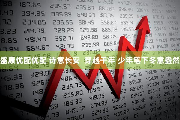 盛康优配优配 诗意长安  穿越千年 少年笔下冬意盎然