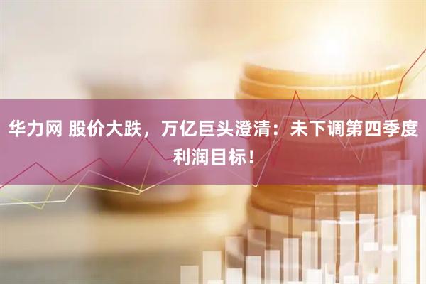华力网 股价大跌，万亿巨头澄清：未下调第四季度利润目标！